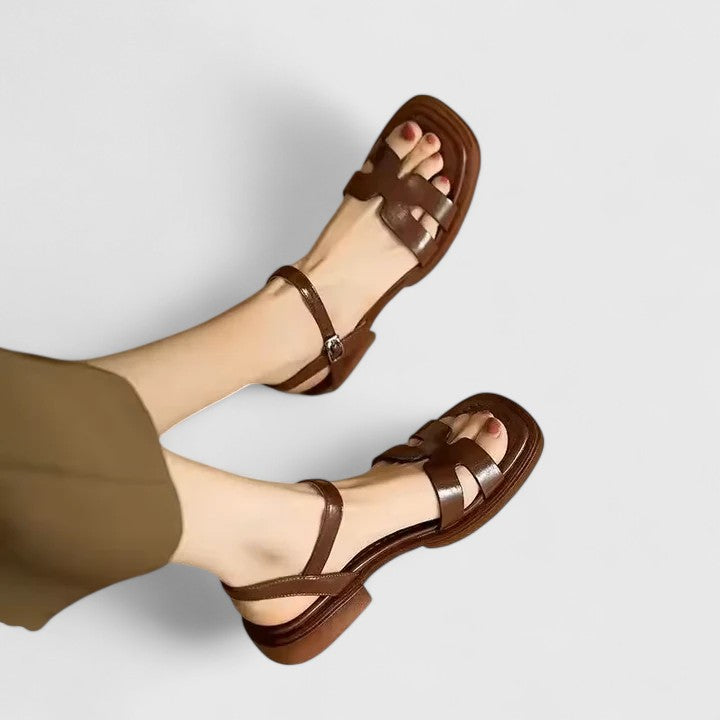 Brown / 9 US | 40 EU