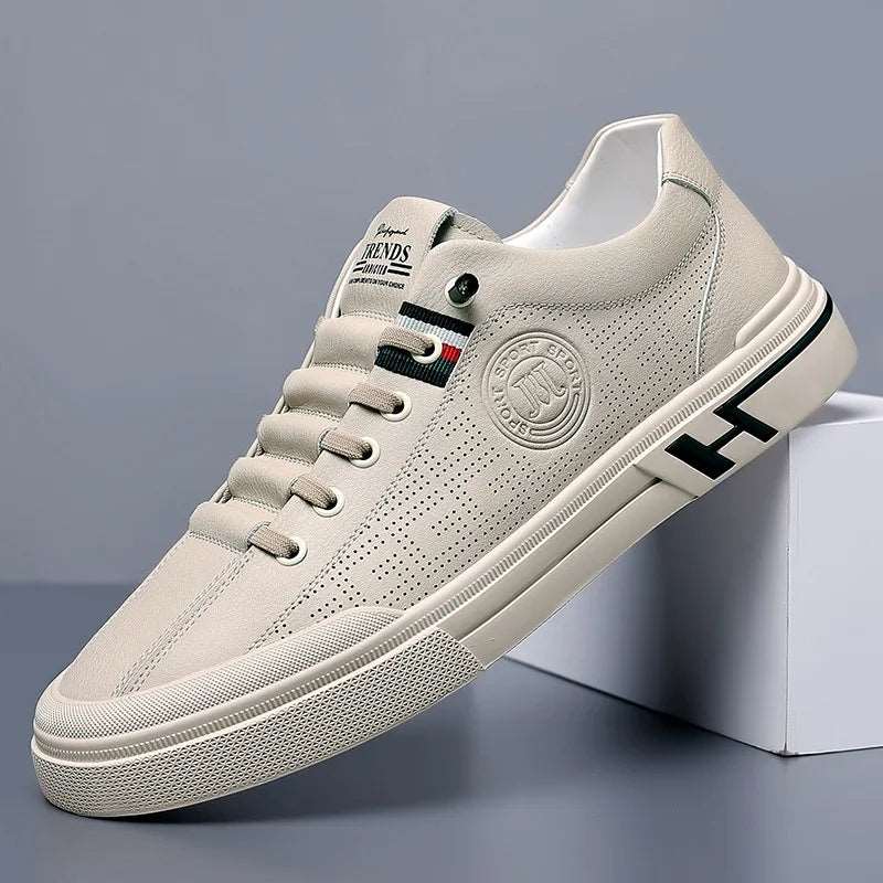 Beige / 46